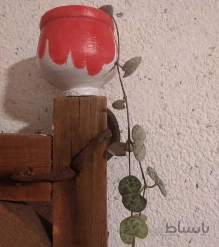 سروپژیا وودی