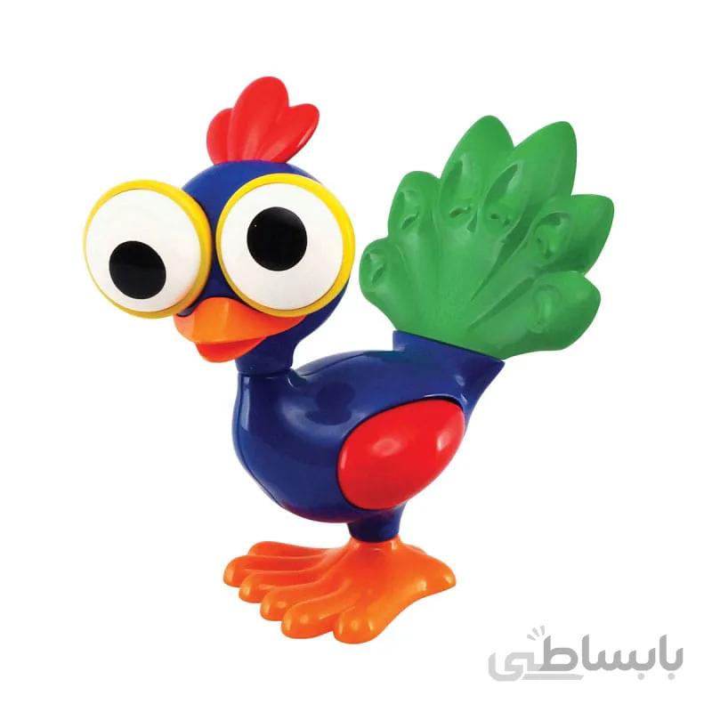 طاووس چشم گردان Tolo