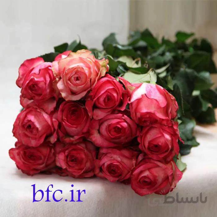 دسته رز