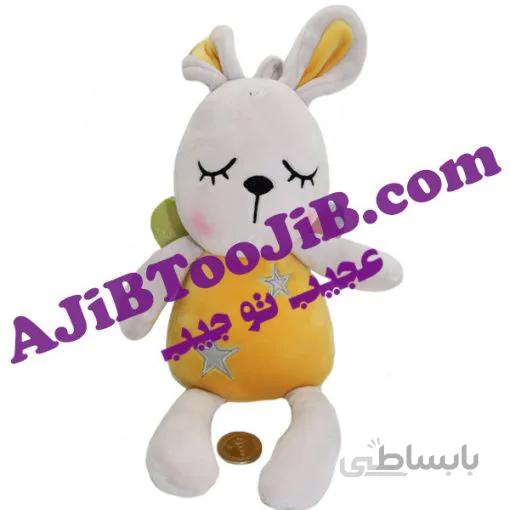 خرگوش های فانتزی بالدار