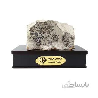 سنگ شجر فسیلی (دندریتی ) کد 2211 ا قیمت به شرط خرید تیمی