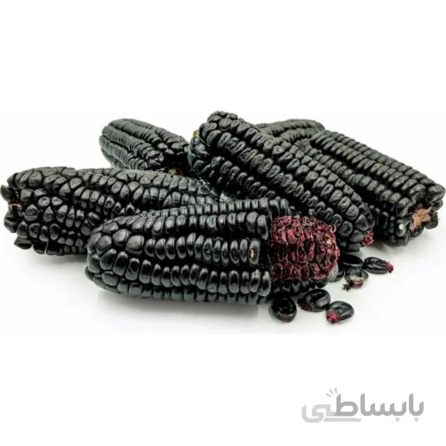 بذر ذرت مشکی بسته ۷ عددی
