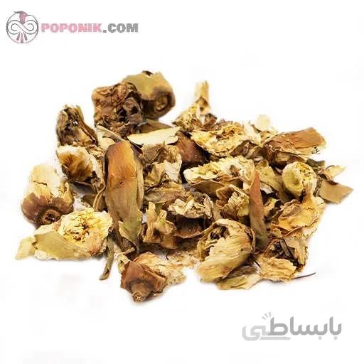 گل نیلوفر خشک شده