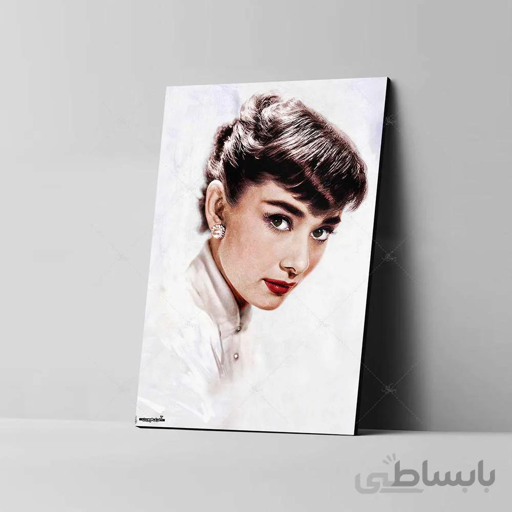 تابلو شاسی مدل آدری هپبورن کد 4G91