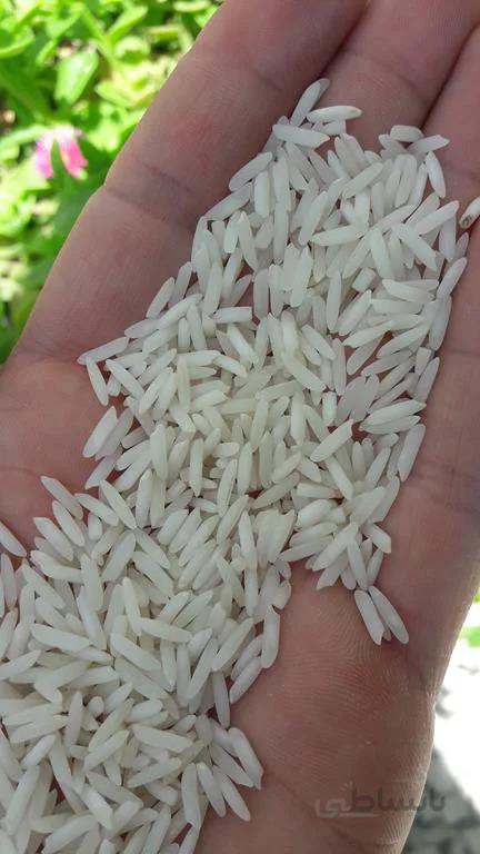 برنج شیرودی استخوانی تمیز و سه الک – کیسه ۱۰ کیلویی