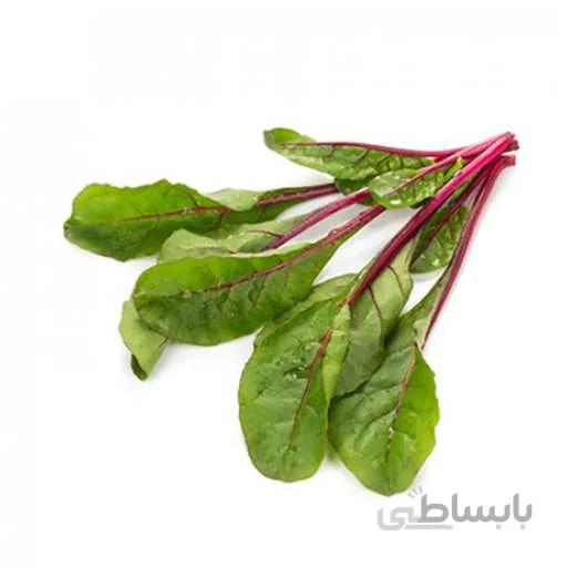 بذر سوییس چارد بیبی