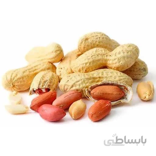 بذر بادام زمینی