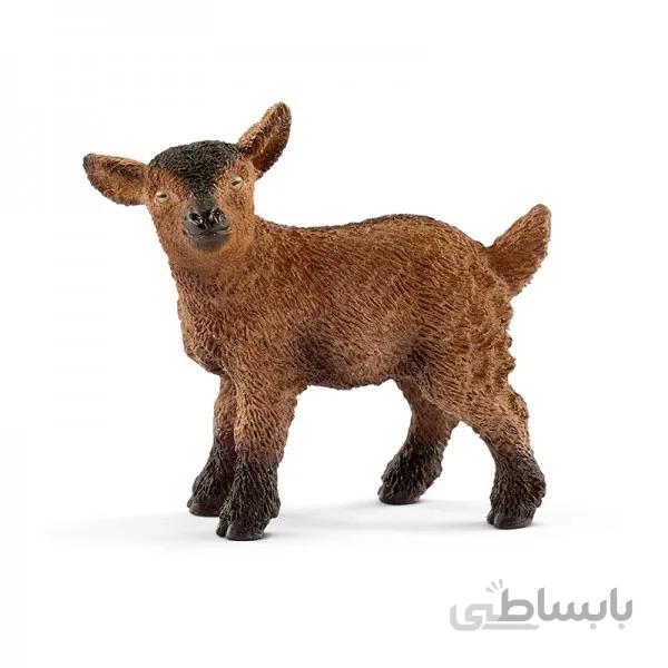 کره بز اشلایش 13829