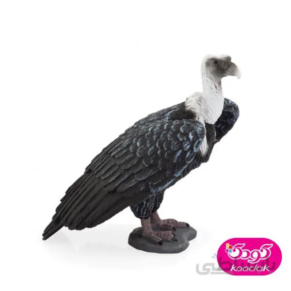 کرکس گریفون 387165 – حیوانات موجو
