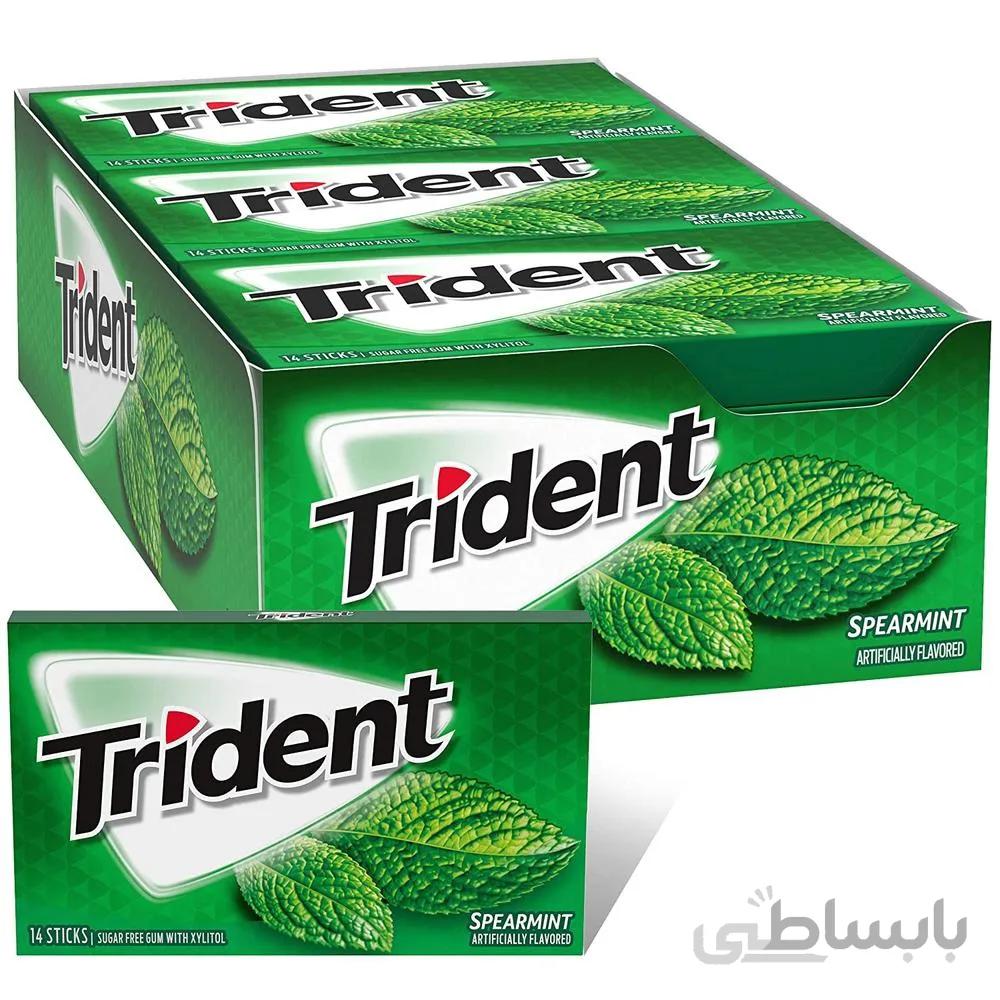 بسته 12 عددی آدامس تریدنت نعنا Trident Spearmint