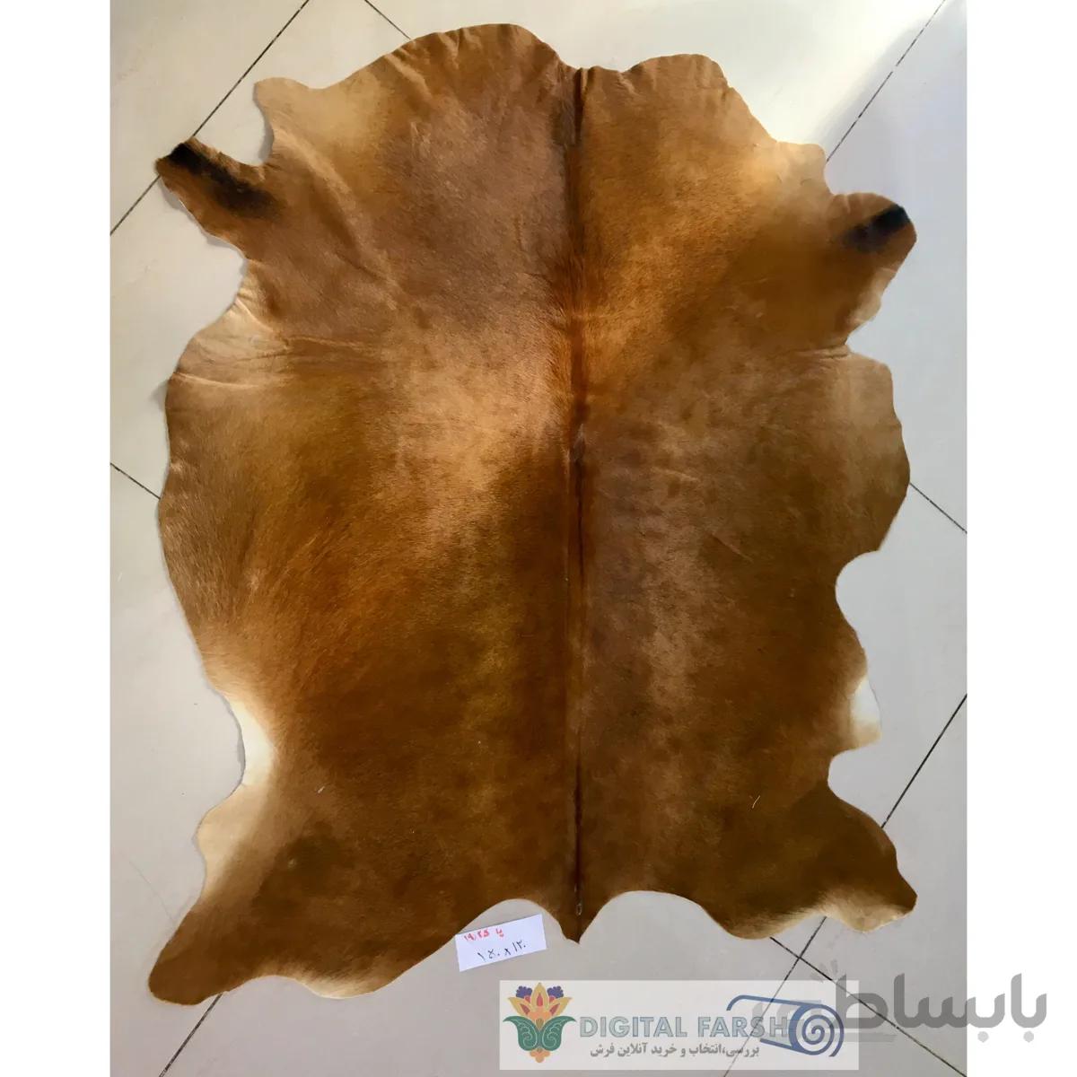 پوست طبیعی گاو تزنیِِینی 19.25 پا ا cow skin