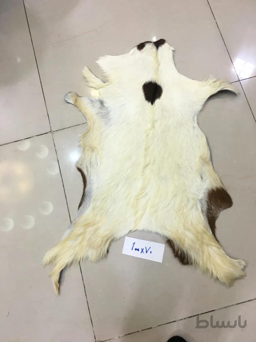 پوست طبیعی تزیینی بزی ا sheep wool
