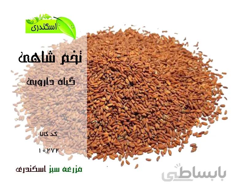 بذر شاهی