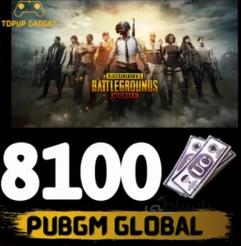 پین 8100یوسی پابچی