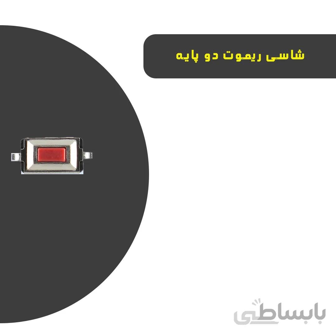 شاسی ریموت - 2 پایه