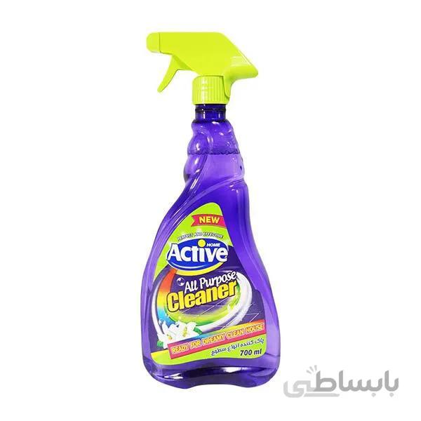 پاک کننده چندمنظوره 700 سی سی اکتیو در بسته بندی 12 عددی ا active multipurpose