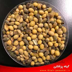 تحقیق آماده بیماری های مهم بذرزی (بذرزاد) در محصولات زراعی