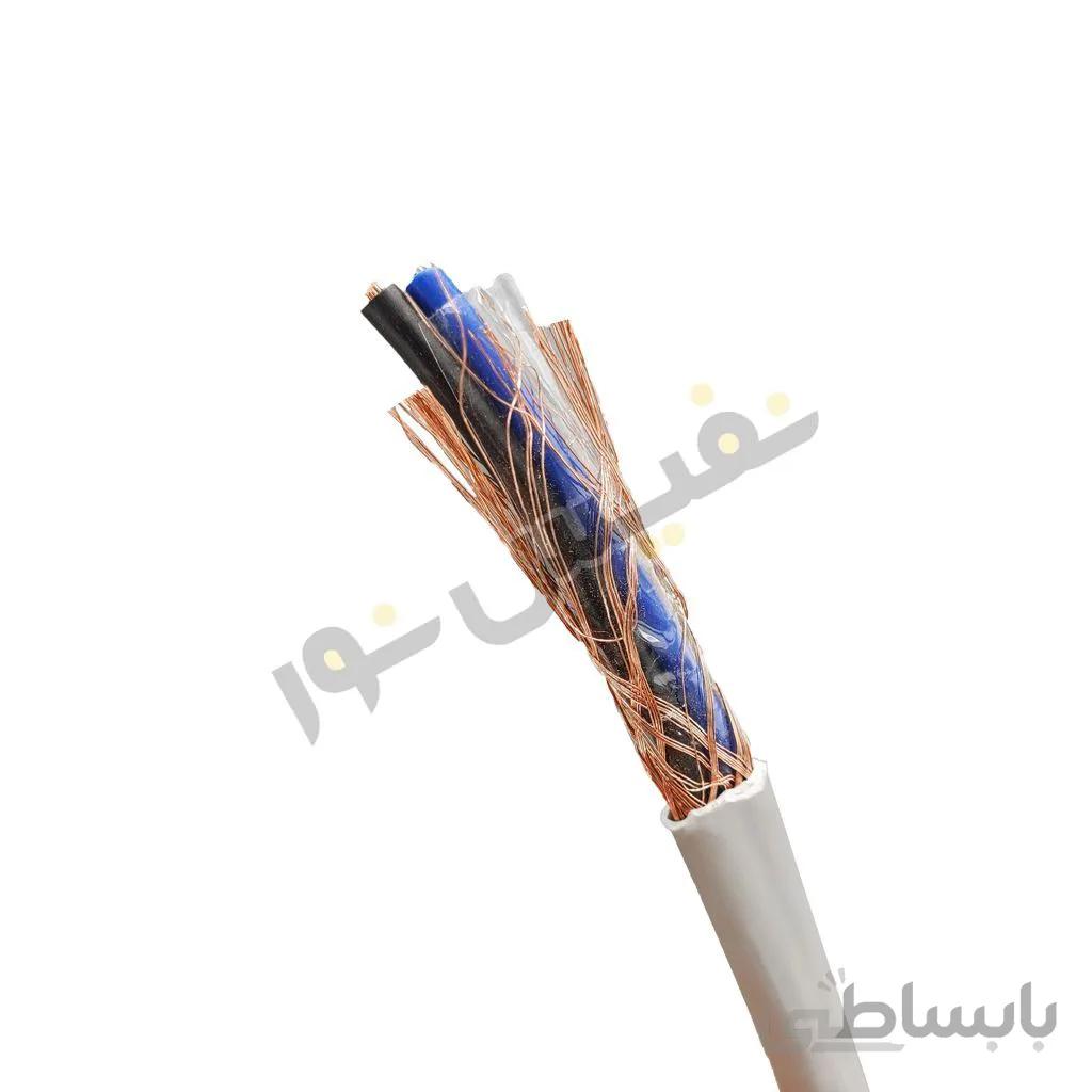 کابل افشان شیلددار 2 در 4 هادی نور گستر