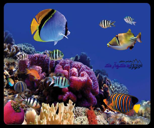پوسترحیوانات003