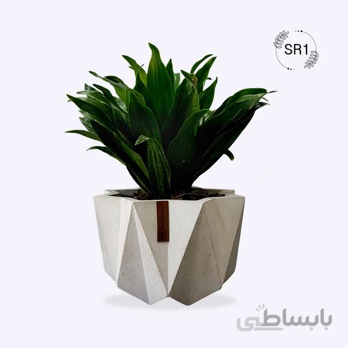 گلدان بتنی بزرگ کد SR1