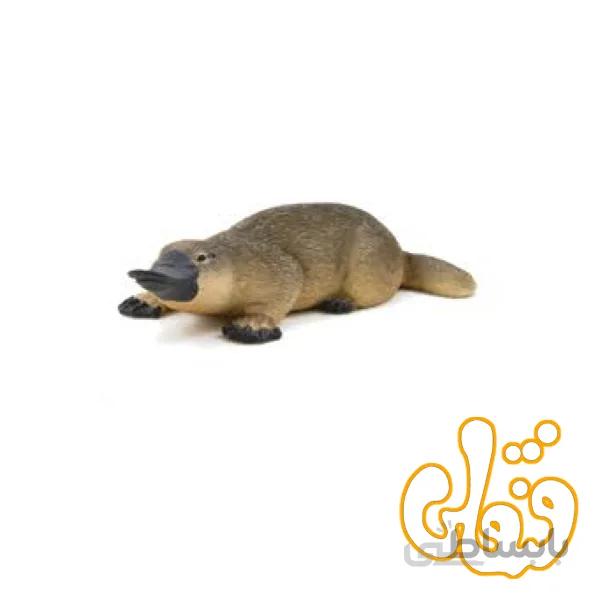 اردک منقاردار پلاتیپوس Duck-billed Platypus 387106
