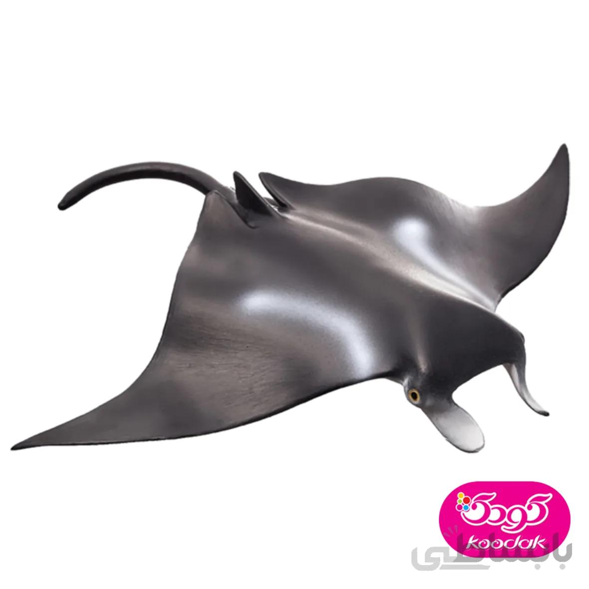 سفره ماهی 387353 – حیوانات موجو
