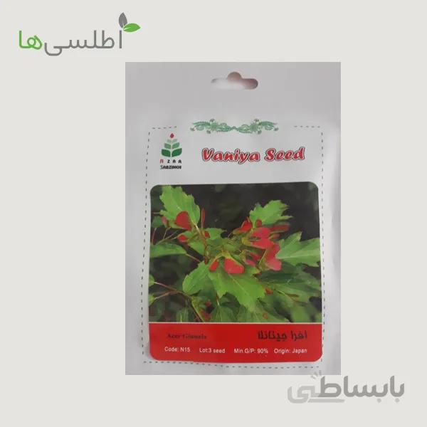 بذر افرا