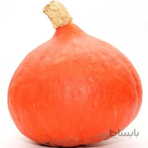 بذر کدو تنبل قلبی