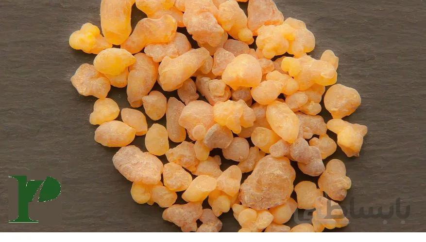کندر خوراکی بسته 50 گرمی