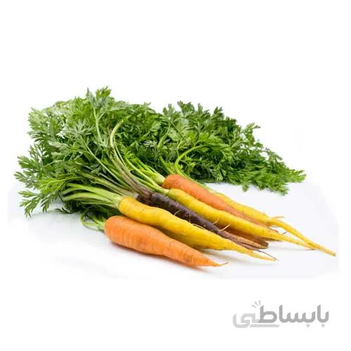 بذر هویج رنگی