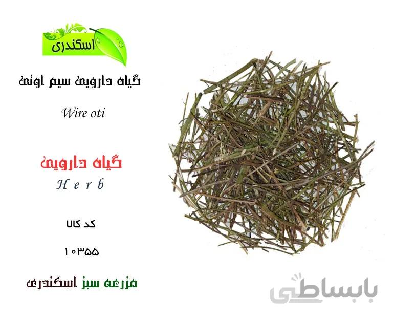 گیاه سیم اوتی (گیاه قشنگی)