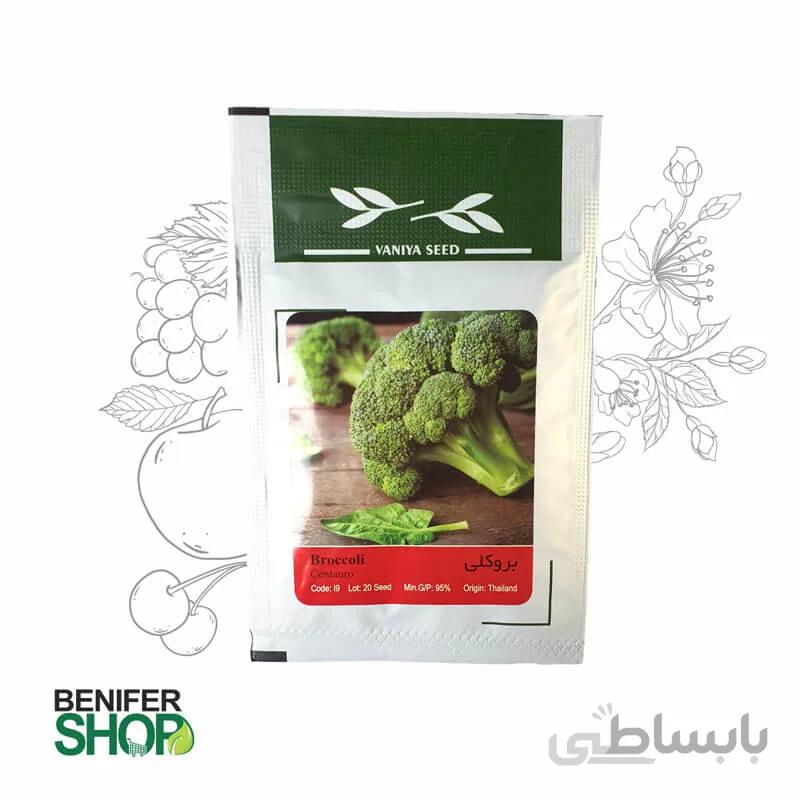 بذر خانگی بروکلی آذر سبزینه