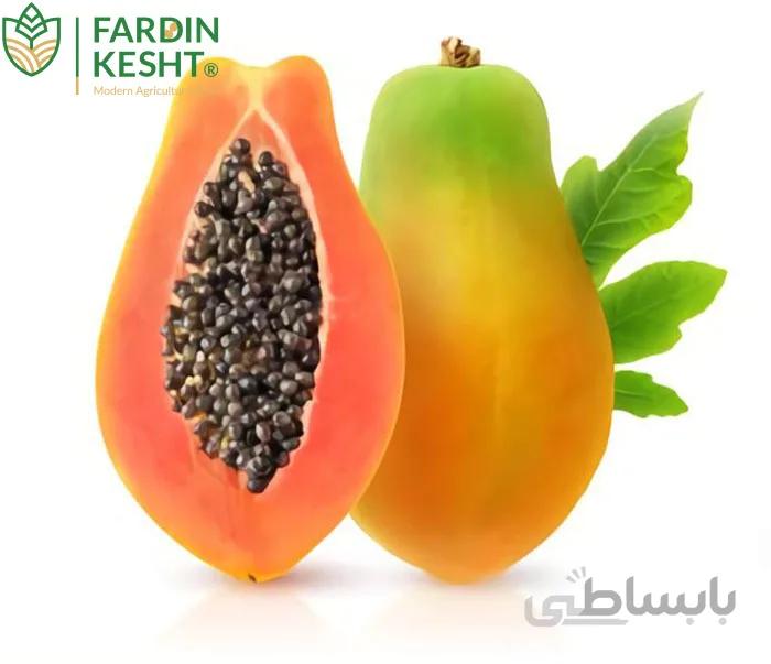 بذر پاپایا مارادول هیبرید فوق پربار آمریکایی بسته 3 عددی