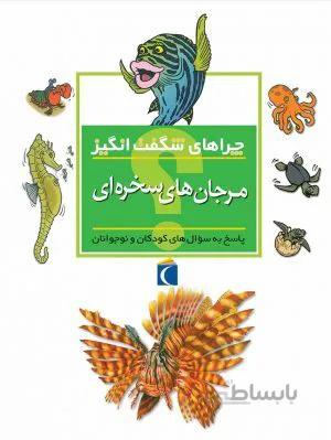چراهای شگفت انگیز آب سنگ های مرجانی