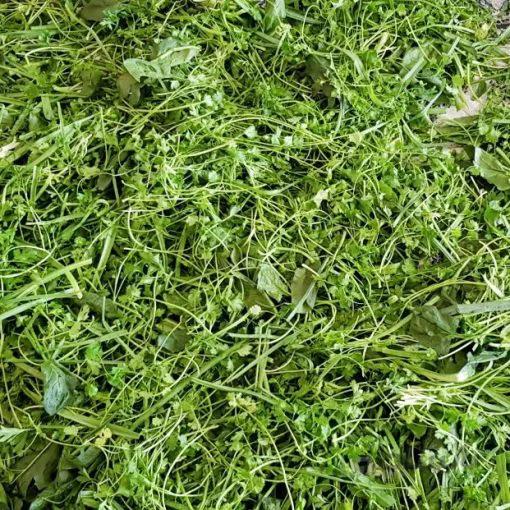 سبزی سوپ یک کیلو- ارسال فقط برای تهران