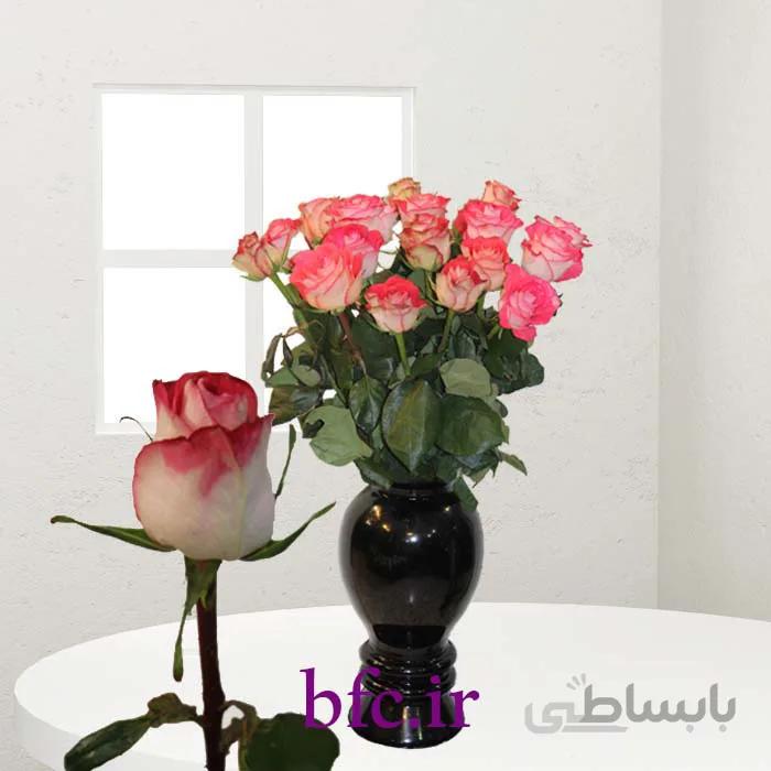 یک شاخه رز هلندی کد 1079676