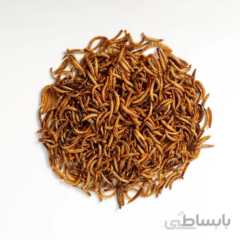 میلورم خشک