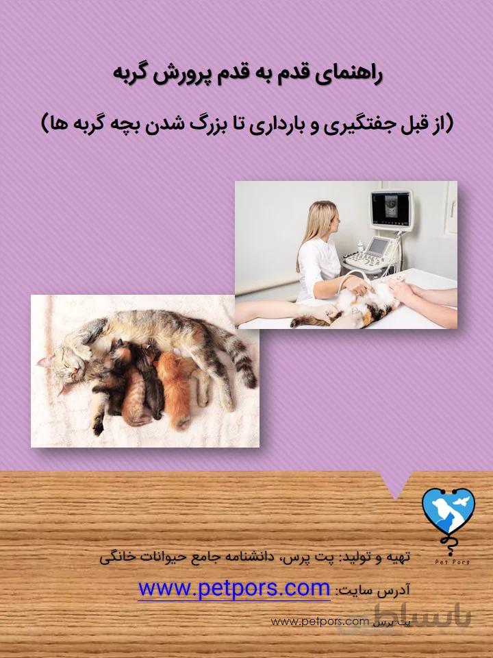 راهنمای پرورش گربه