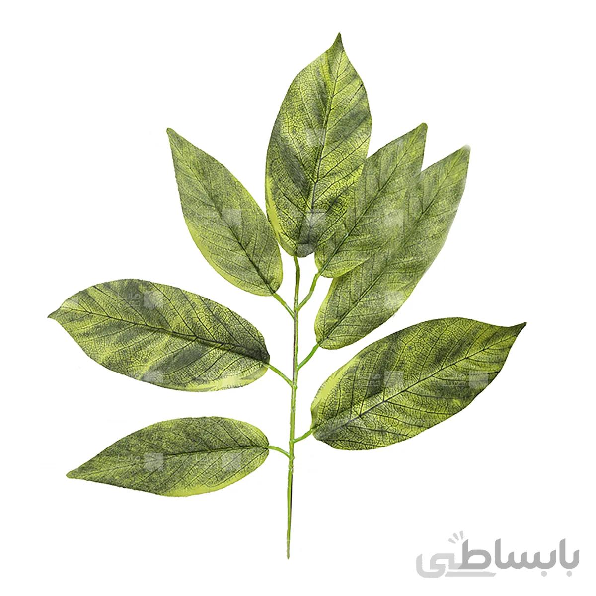 گیاه مصنوعی مدل برگ گردو – پک 20 عددی