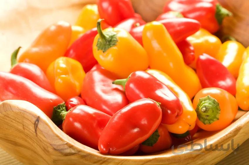 بذر اورجینال فلفل مینیاتوری خوراکی