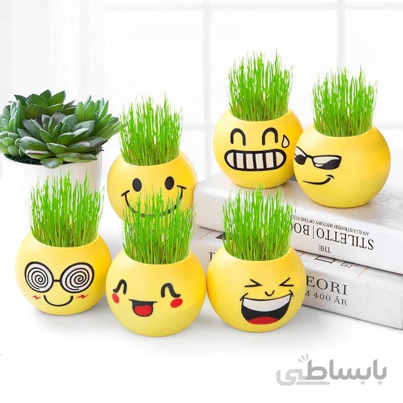 گلدان ایموجی بسته 6 عددی