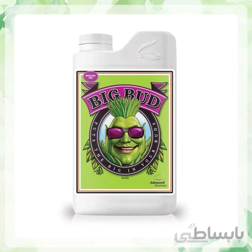 کود ادونس Big Bud