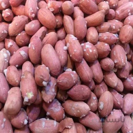بادام تازه برشته مرداد (آستانه اشرفیه)