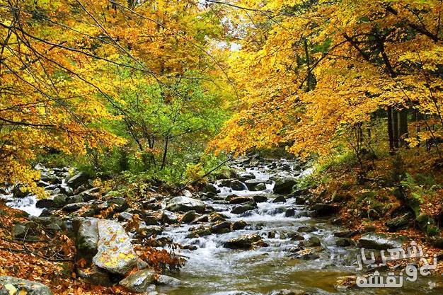 خرید نخ و نقشه تابلو فرش طرح منظره رودخانه پاییزی کد j-175