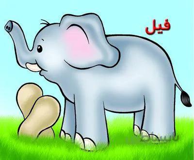 فیل(حیوانات مزرعه)