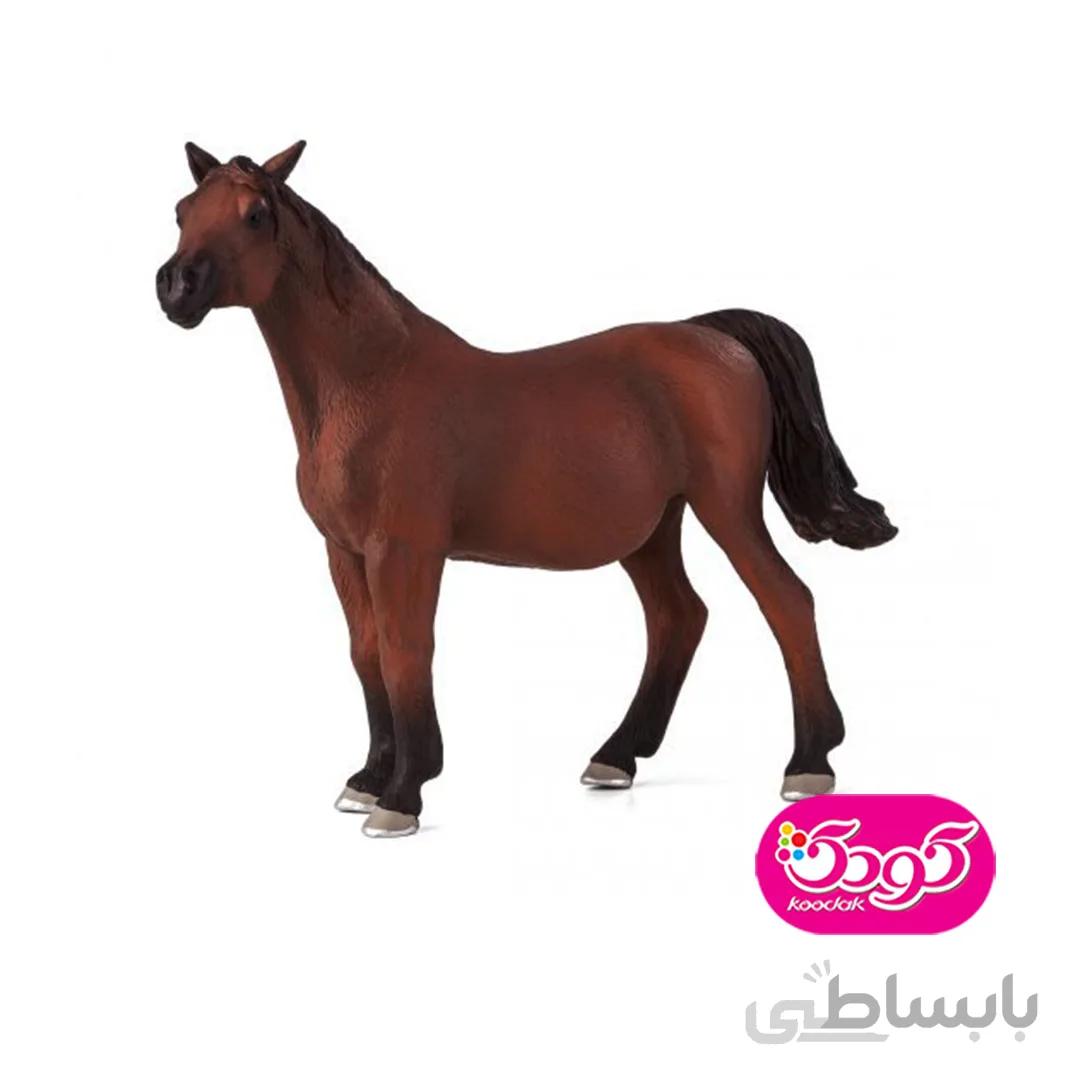 اسب مادیان عربی 387194 – حیوانات موجو