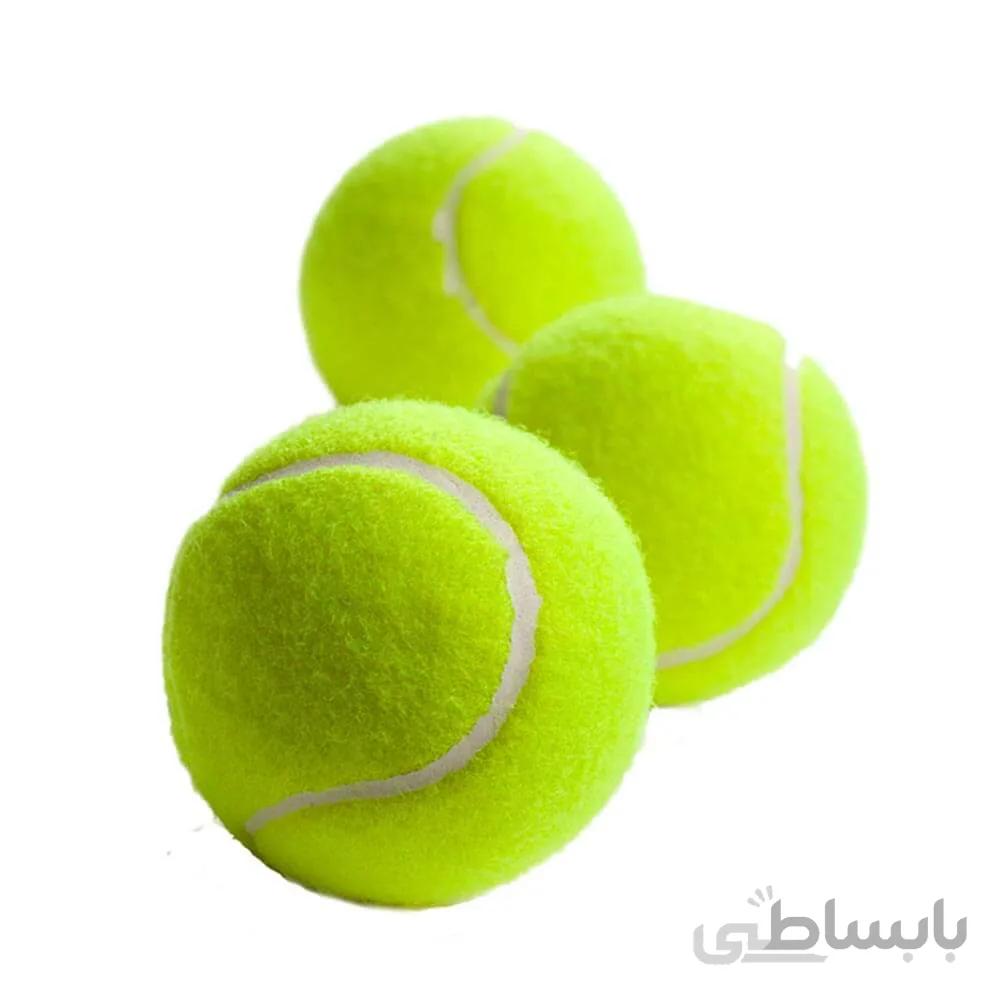 توپ بازی مخصوص سگ برند متفرقه مدل تنیس ا Tennis Ball For Dogs