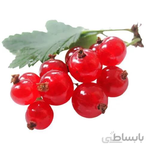 بذر انگور فرنگی قرمز