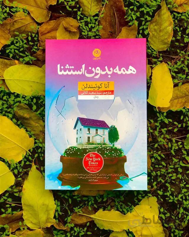 کتاب همه بدون استثنا اثر  آنا کوئیندلن