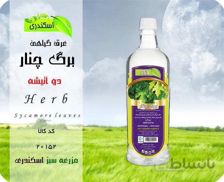 عرق برگ چنار اصل